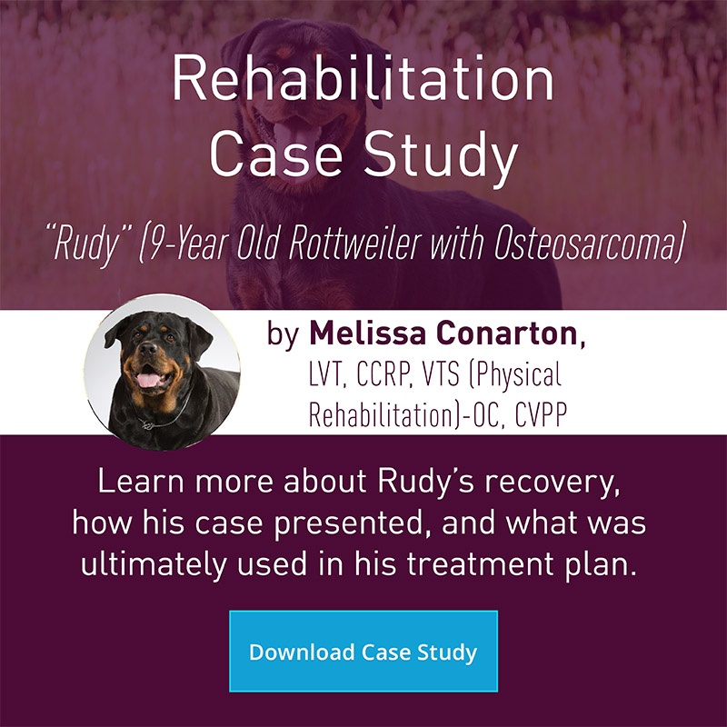 Rehabilitation center case study image